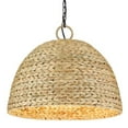 thumbnail image 1 of Golden Lighting 1081-5P BLK-WSG Rue 5 Light Ceiling Pendant, Matte Black, 1 of 1