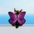 thumbnail image 6 of CHENjy Realistic Butterfly Wings for Cats Adjustable Lightweight Pet Cosplay Costume Halloween Cat Decor 7.87*7.87 in, 6 of 7