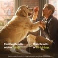 thumbnail image 6 of PRN Pharmacal Duralactin Canine Chewable Tablets - Joint Health Supplement for Dogs & Puppies Supports Mobility & Wellness - Tablets Containing Dried Milk Protein - Vanilla Flavor - 180 Canine Chews, 6 of 8