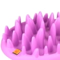 thumbnail image 5 of CATCH Interactive Feeder, 5 of 5