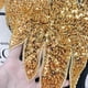thumbnail image 4 of Capa de hombro de chal chal de fiesta brillante, hermosa capa de lentejuelas con cuentas, envoltura de chal de mujeres para fiesta, vestidos, nupcias, Oro, 4 of 8