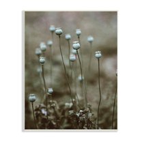 Stupell Industries Serene White Floral Bulb Woodland Photography Unframed Art Print Wall Art, 13x19, by Incado