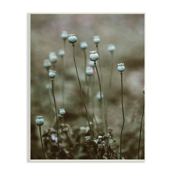 Stupell Industries Serene White Floral Bulb Woodland Photography Unframed Art Print Wall Art, 13x19, by Incado