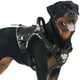 thumbnail image 1 of Arnés para perros AUROTH, chaleco táctico y ajustable sin tirones para mascotas, 1 of 7
