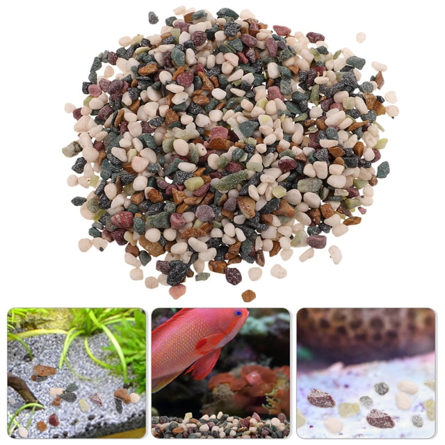 DEEPCRAFF 1 Pound Aquarium Gravel Small Pebbles for Creating a Natural Aquatic Environment