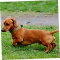 thumbnail image 4 of FUTUREORYY 1Pack Traction Rope for Dog with Aluminum for Pet Owners Outdoor Activities, 4 of 7