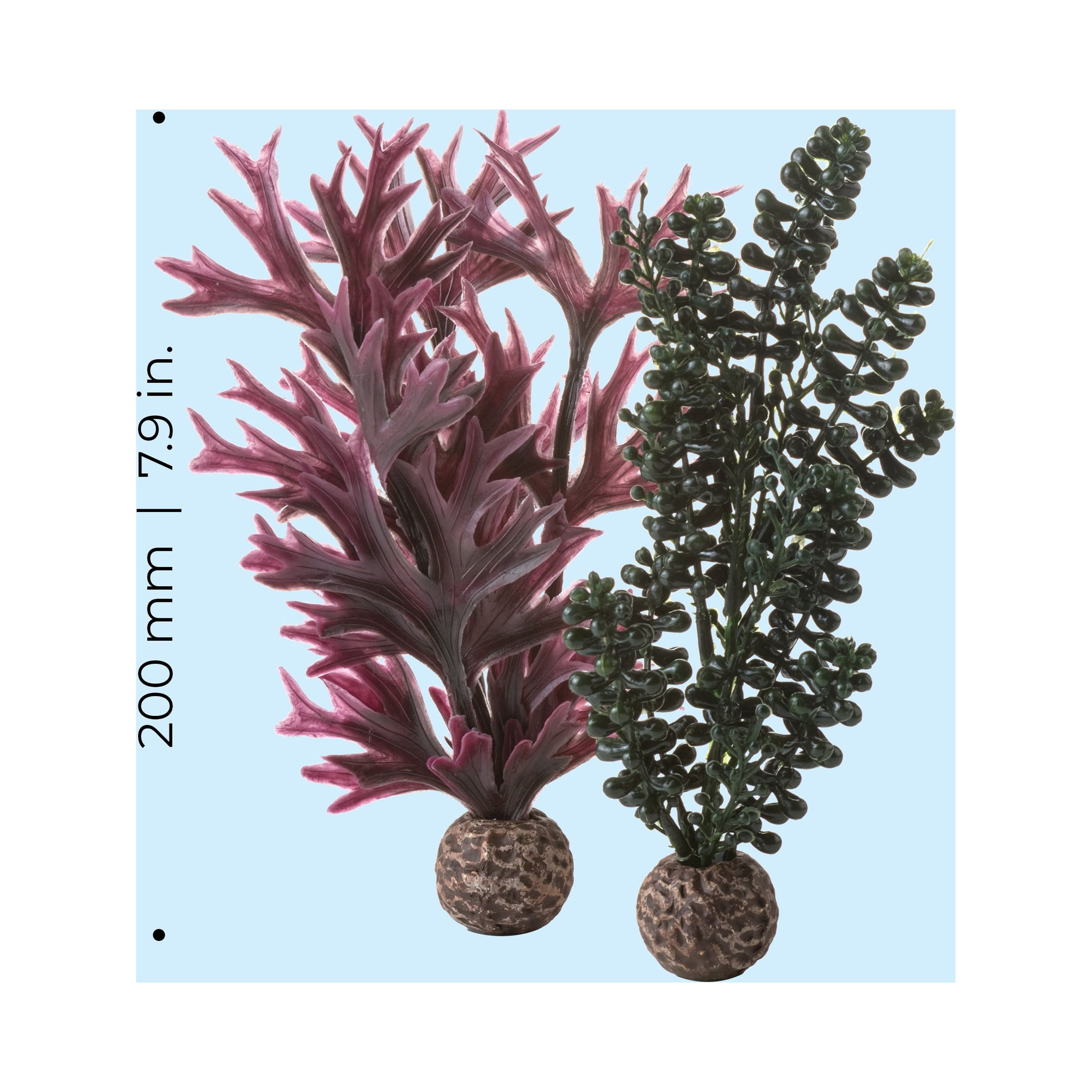 biOrb Small Sea Pearls & Kelp Plant Set - Green & Red Aquarium Plant Decoration
