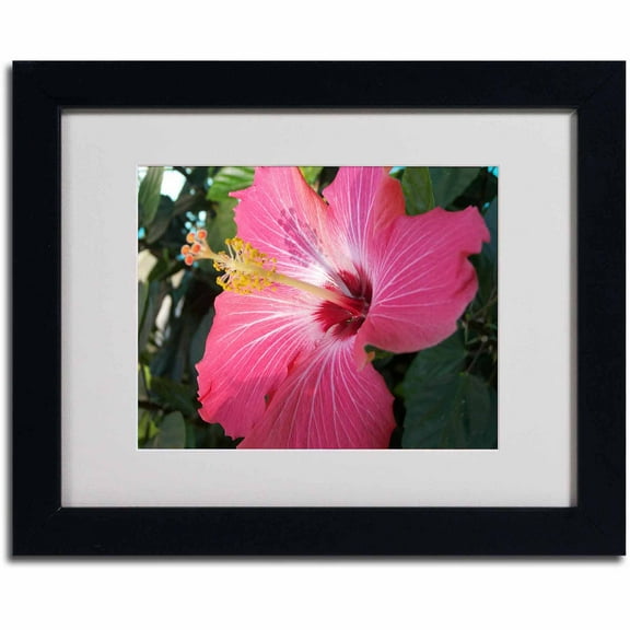 Trademark Fine Art "Empowering Bliss" Canvas Art by Monica Fleet, Black Frame
