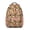 Boston Terrier-1, variant on Black Dog Puppy Paw Backpack for School,Cute School Bag,Schoolbag with Adjustable Shoulder Straps & Padded Back,15.3"x11"x6.7"