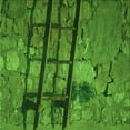 thumbnail image 1 of Ahgly Company Machine Washable Indoor Square Transitional Deep Emerald Green Area Rugs, 4' Square, 1 of 7
