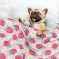 Lukts Floral Strawberr Print Dog Blanket/Bed Cover for Dogs and Cats