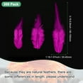 thumbnail image 3 of Uxcell 300-Pack Feathers for Crafting, Rose Red 3.15-5.90 Inch Natural Fluffy Feathers Plume for Wedding Decorations Feathers, 3 of 6