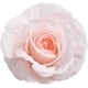 thumbnail image 5 of Nvzi 3 piezas de 6,56 pies de flores artificiales de rosa de seda para colgar en la boda, guirnaldas para decoración del hogar, exterior e interior, flores (champán), 5 of 5