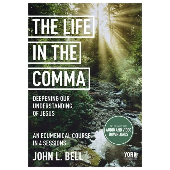Life in the Comma: Deepening Our Understanding of Jesus: York Courses, (Paperback)