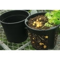 thumbnail image 3 of RUNROTOO Potato Planting Pot Plastic Plants Nursery Pot Black 1Set, 3 of 6