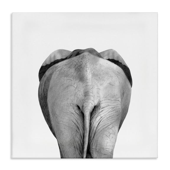 Stupell Industries Eclectic Elephant Butt Portrait Canvas Art, 30 x 30, by Victoria Borges