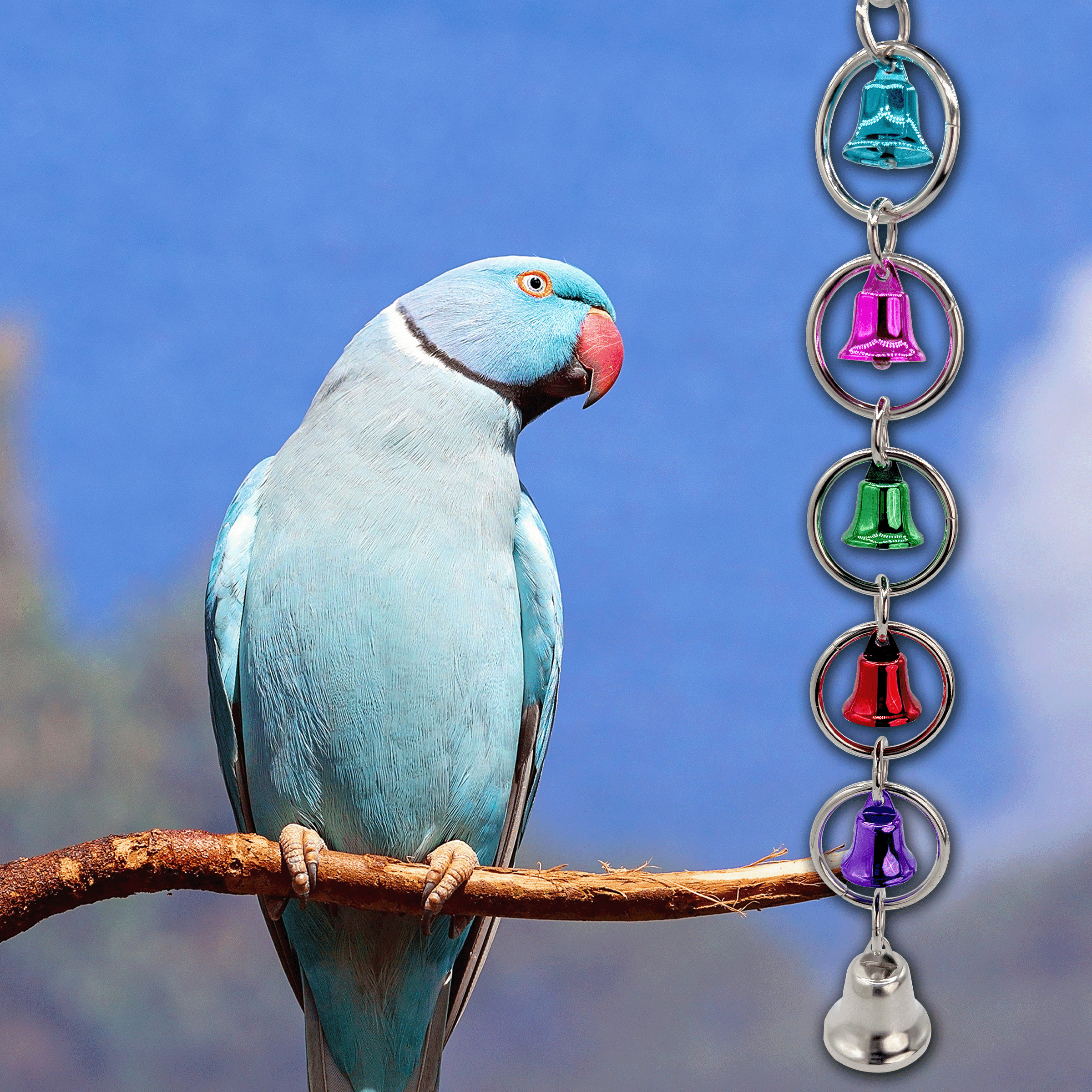 1056 Ring n Ring  - Handcrafted Shiny Durable Long Lasting Bird Cage Toy