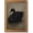 Black Swan, variant on Gold Framed Wall Art, Vintage Lemons Pictures Wall Decor, Rustic Farmhouse Canvas Prints, Still Life Printings, Antique Fruit Artwork for Kitchen Dining Room Living Room Home Decor 12x16 Inch