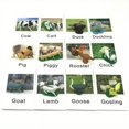 thumbnail image 1 of Montessori Animal Matching Card: Cognitive Kids Educational Toy For Language Learning - Zoo, Farm & Insects Christmas And Halloween Gift!, 1 of 5
