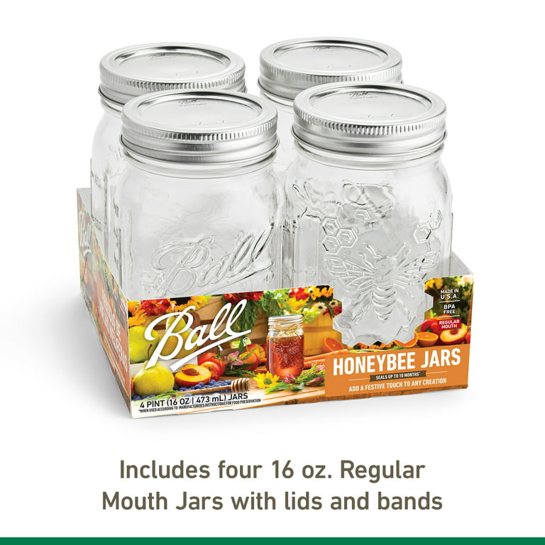 Mason Jars 16 oz - Glass Jars with Plastic Lids- Glass Storage Jars with  Regular Mouth Lids- Jars with Lids- Canning Jars, Pint Jars- Set of 2, 16  oz