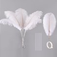 thumbnail image 1 of Kit de plumas de avestruz Ballinger 10 piezas, 71 cm, grandes, blancas, 1 of 7