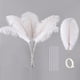 thumbnail image 1 of Kit de plumas de avestruz Ballinger 10 piezas, 71 cm, grandes, blancas, 1 of 7