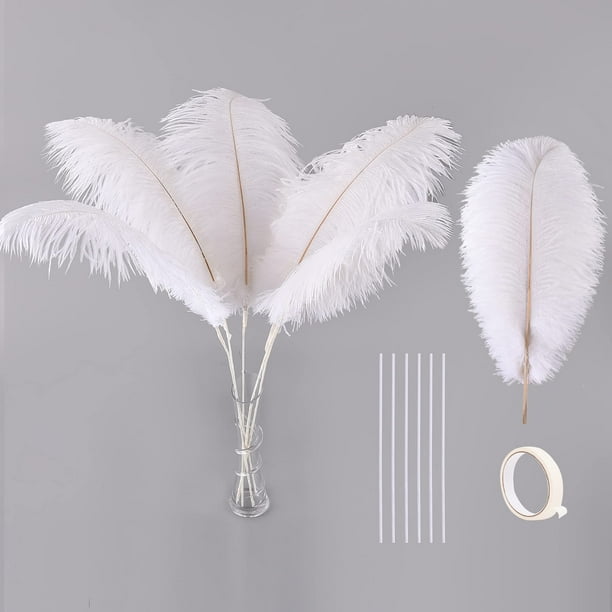 Kit de plumas de avestruz Ballinger 10 piezas, 71 cm, grandes, blancas