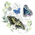 thumbnail image 2 of Parker, Jennifer Paxton 15x15 White Modern Wood Framed Museum Art Print Titled - Butterfly Floral I, 2 of 4