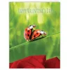 NobleWorks, Big Animal Valentines Card with Envelope (8.5 x 11 Inch) - Jumbo Notecard for Valentine's Day - Ladybug Love J3516VDG