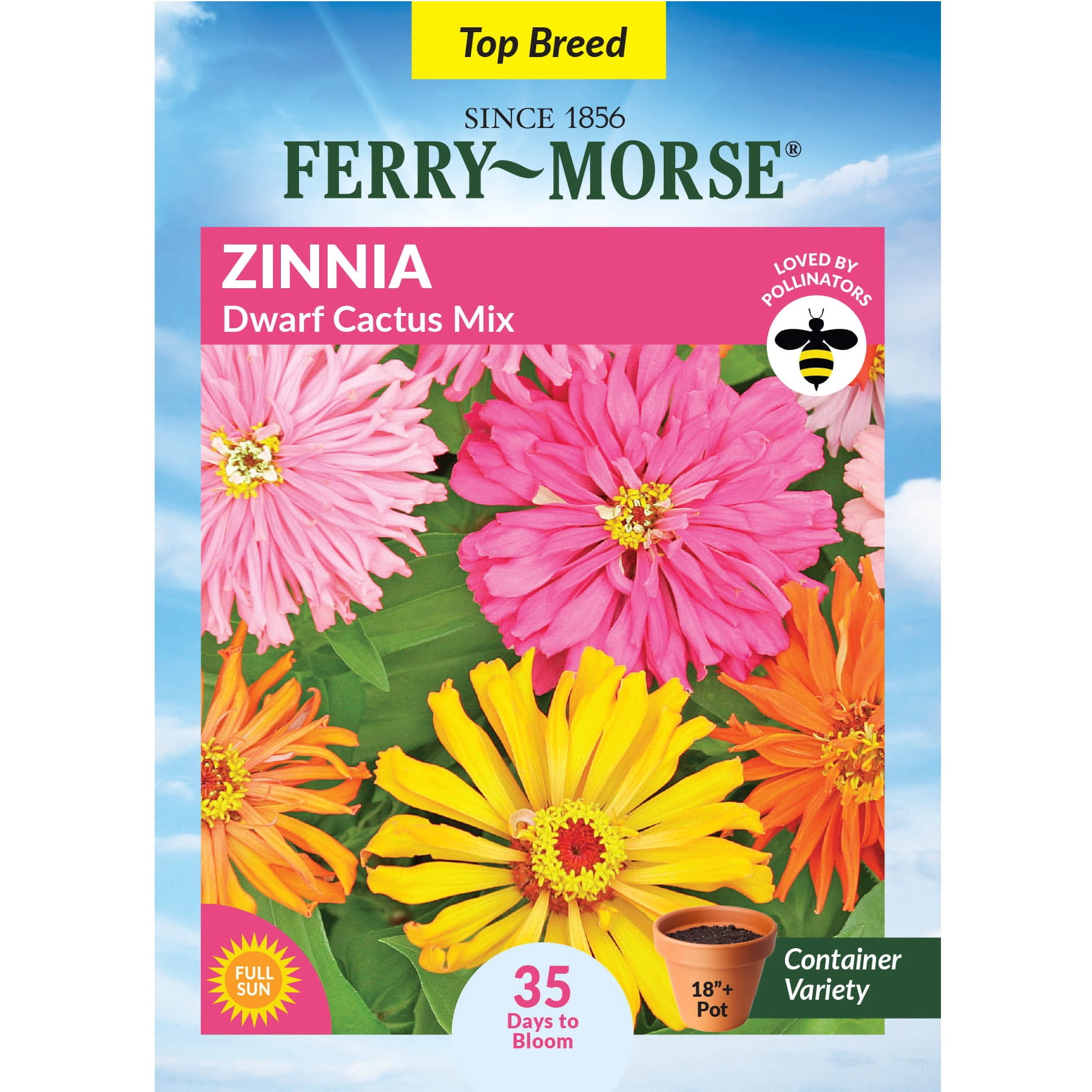 Ferry-Morse 400MG Zinnia Semi Dwarf Pumila Mixed Colors Annual