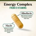 thumbnail image 6 of B Complex Vitamin - Super B Vitamins with Vitamin C & Folic Acid for Cellular Energy & Immune Support - Vitamin B Supplement With B1, B2, B3, B6 & B12 for Women & Men, Bottled in USA - 120 Capsules, 6 of 9