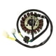 thumbnail image 2 of Bobina del estator del Alternador del motor Macarena de 18 Polos, 2 of 8