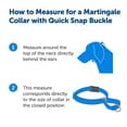 thumbnail image 3 of Collar Martingale PetSafe con hebilla de cierre rápido, azul, grande, 3 of 5