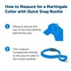 thumbnail image 3 of Collar Martingale PetSafe con hebilla Quick Snap negro, 3 of 5