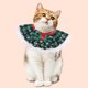 thumbnail image 1 of Bufanda navideña para perro, disfraz para mascota, atuendo navideño para perro, bufanda navideña, collar con lazo y cascabel, traje para perro, gato, perro, cachorro, disfraces navideños, fiesta,, 1 of 6