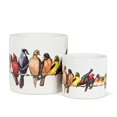 thumbnail image 5 of Abbott Collections AB-27-PARADE-085-LG 6.5 in. Birds on Wire Planter, Multi Color, 5 of 5