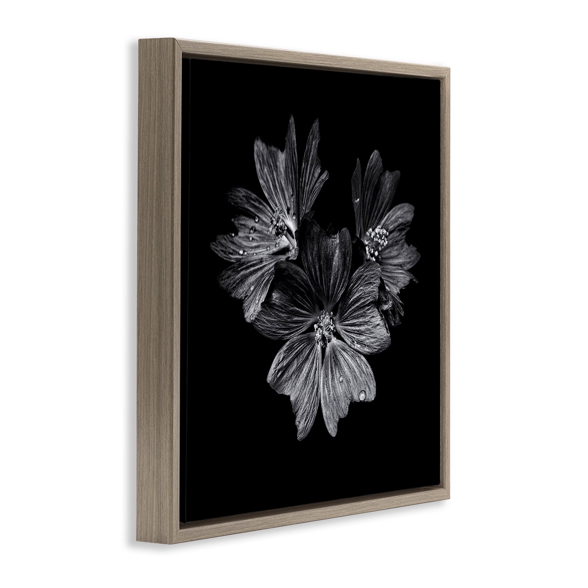 Stupell Industries Blossom Trio on Black Plants & Flowers Photography Brown Floater Framed Canvas Art Print Wall Art, 18 x 18