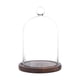 thumbnail image 1 of Vitrina con forma de cúpula de cristal REFSAVER para plantas y objetos de colección, 1 of 7