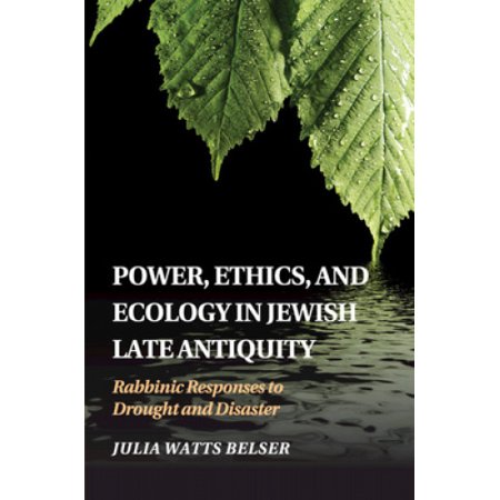 jewish environmental ethics essay