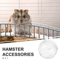 thumbnail image 3 of HAMPPLIES Transparent Hamster Ball Noise Free Operation for Indoor Use 1Pcs, 3 of 8