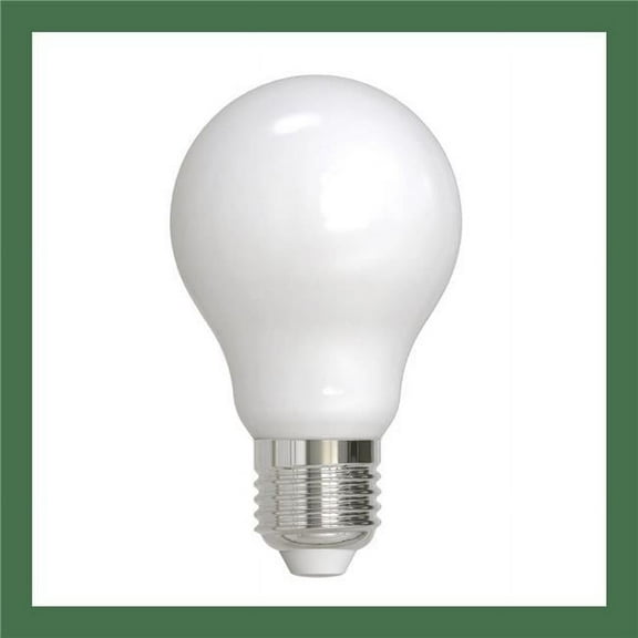 9W LED A19 2700K Filament Bulb