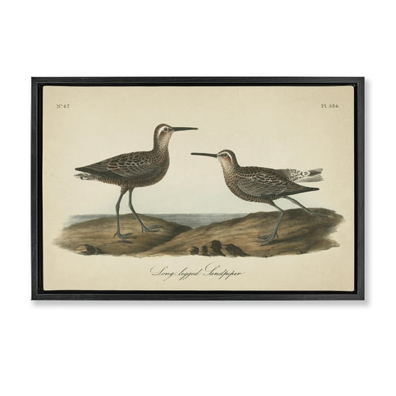 Stupell Industries Long Legged Sandpiper Animals & Insects Painting Black Floater Framed Canvas Art Print Wall Art, 25 x 17