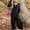 Black, variant on Jumpsuits For Women Long Sleeve Long Pants One Piece Jumpsuits Baggy Overalls Crew Neck Going Out Vacation Summer Rompers For Women 2026 S
