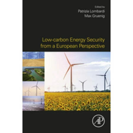 Low-carbon Energy Security from a European Perspective - (From A Security Perspective The Best Rooms)