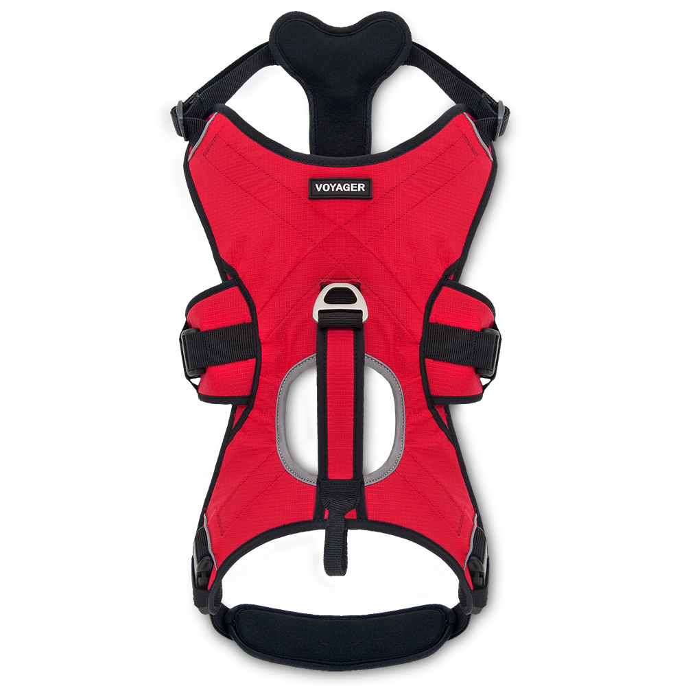 Voyager by Best Pet Supplies Control Dog Walking harness with Handle