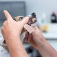 thumbnail image 3 of Soft Silicone Pet Finger Toothbrush Tooth Cleaner Silicon Finger Dog Cat Tooth Cleaning Brush, 3 of 9