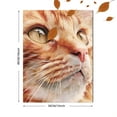 thumbnail image 3 of Orange Tabby Cat Close Up Canvas Wall Art, Pet Portrait Print for Living Room Bedroom Office Coffee Shop Study Decor, 3 of 8