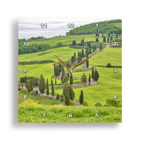 3dRose, Italy, Tuscany. Monticello, Winding road through fields of crops, 15x15 Wall Clock