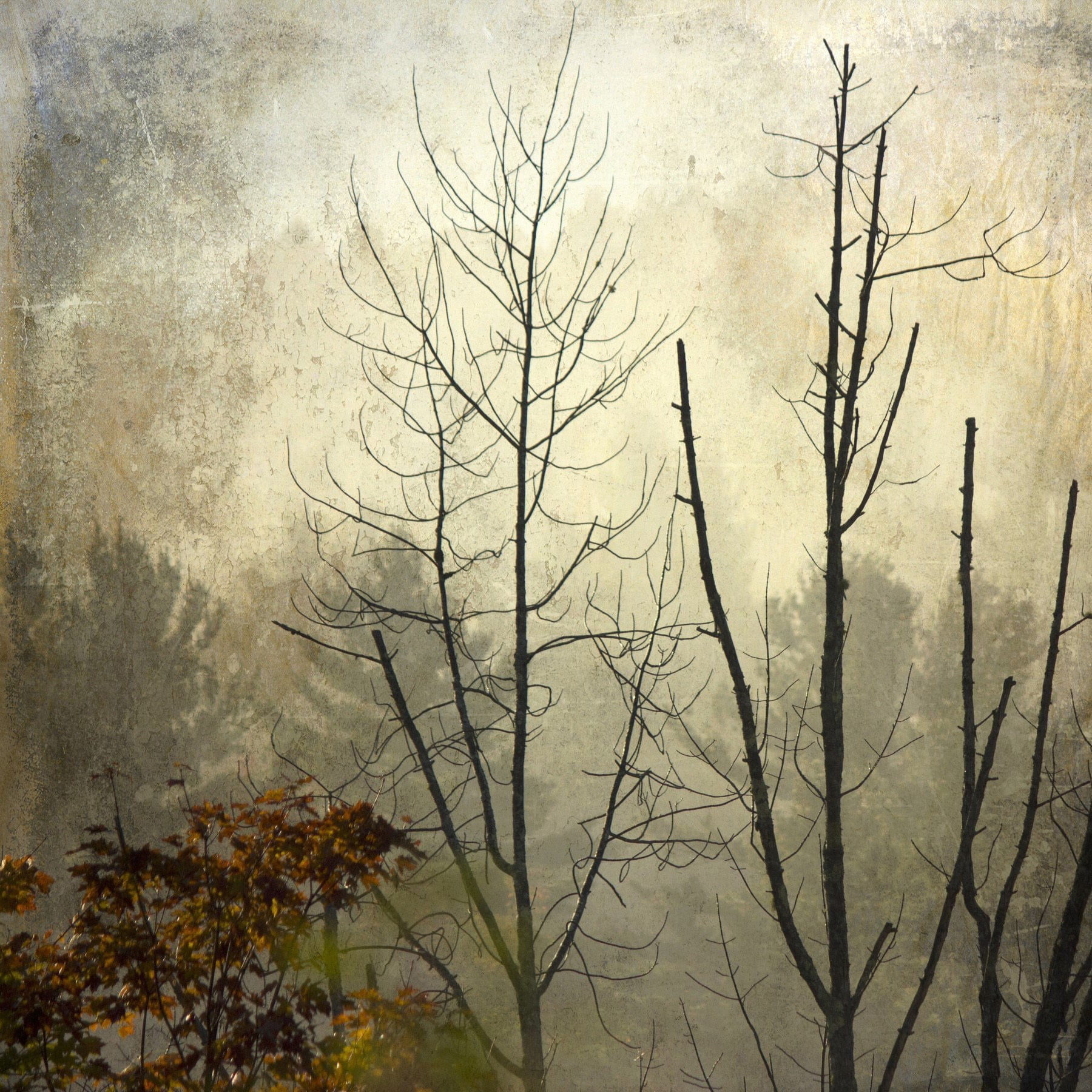 "Before the First Snow" Painting Print on Wrapped Canvas