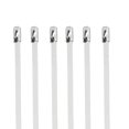 thumbnail image 3 of M Buder 200 Piezas Bridas de Acero Inoxidable de 4.6 mm de Ancho Abrazadera de Metal con Bloqueo Automático Extrarresistente para Organización de Cables, Tuberías y Uso en Exteriores, 3 of 9